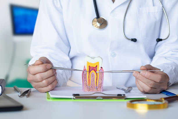 Trusted NJ Emergency Dentist Experts